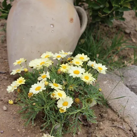 Days Cappadocia Bed and breakfast